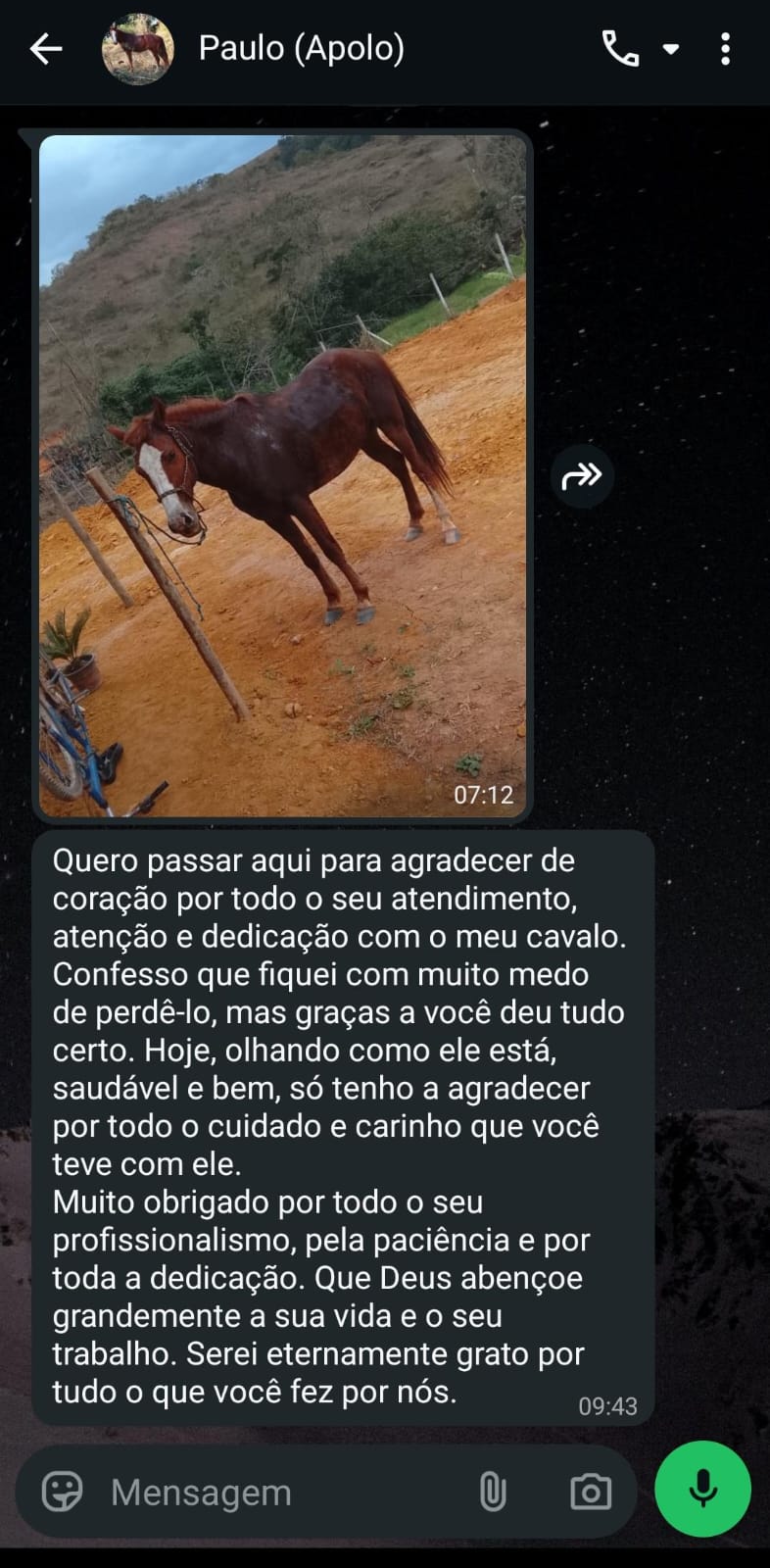 Mensagem de agradecimento enviada por tutor após atendimento veterinário