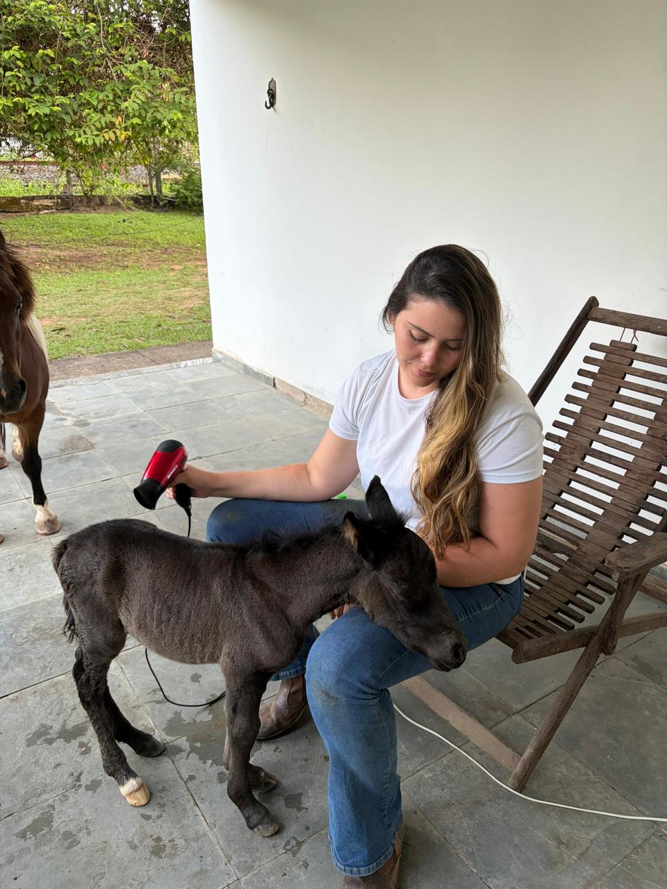 Potro recém-nascido ao lado da mãe